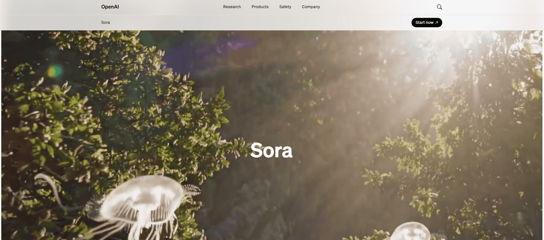 SORA - homepage